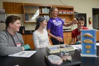 Students Will Display Artwork at HPU’s Cell Art Collaborative Showcase