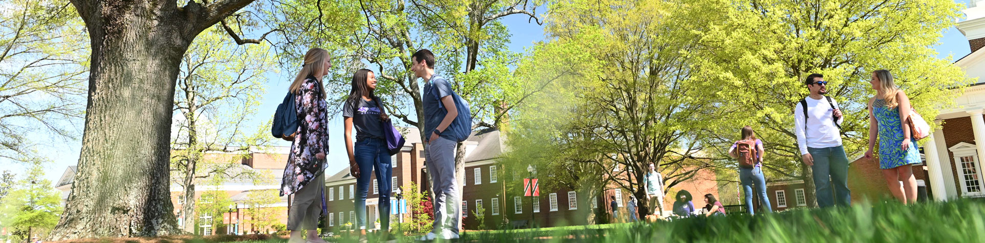 Orientation Schedule