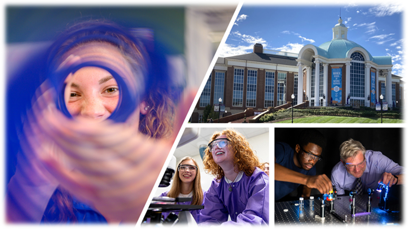Natural Sciences Fellows 2023 Collage