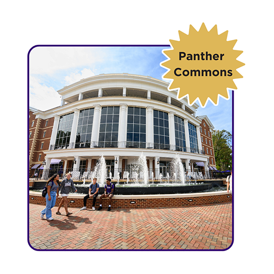 panther commons
