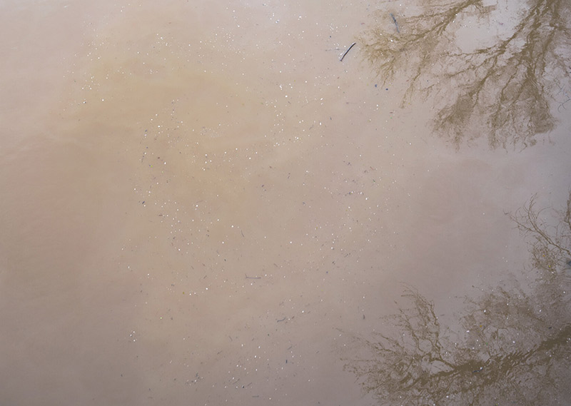 Reinecker Yadkin River