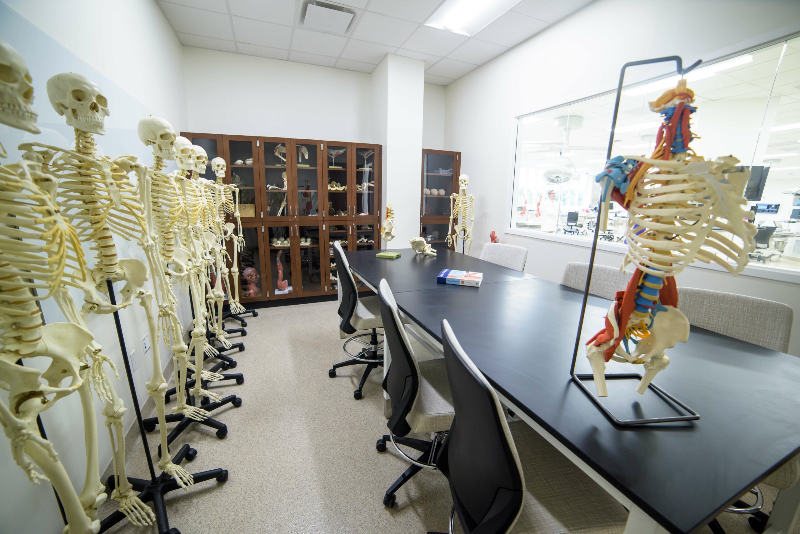 Cadaver Storage