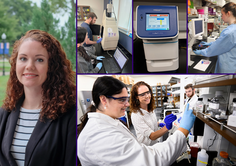 Dr. Heather Miller Research Interests
