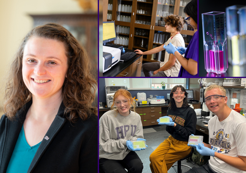 Dr. Kelsey Kean Research Interests
