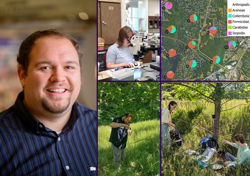 Dr. Daniel Greene Research Interests