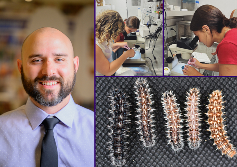Dr. Ken McKenna Research Interests