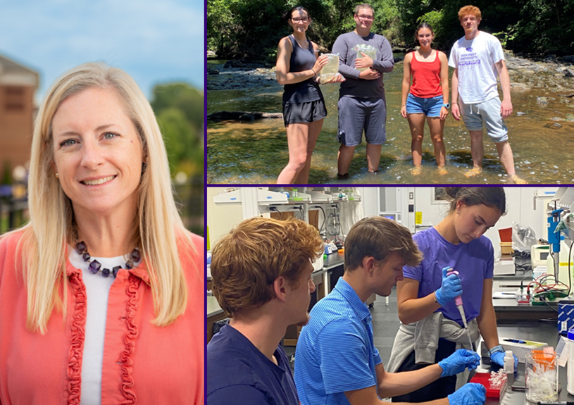 Dr. Megan Bowman Research Interests