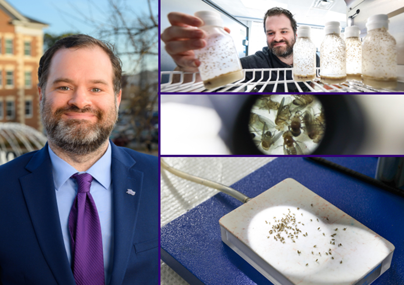 Dr. Matt Talbert Research Interests