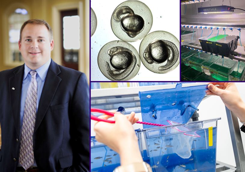Dr. Neil Coffield Research Interests