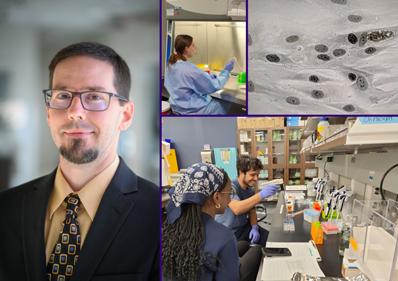 Dr. Robert Charvat Research Interests