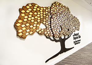 willed body program high point university masters biomedical science