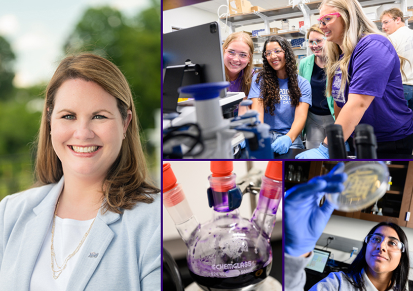 Dr. Meghan Blackledge Research Interests