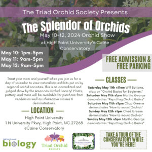TOS Splendor of Orchids Social Media Promo (002)