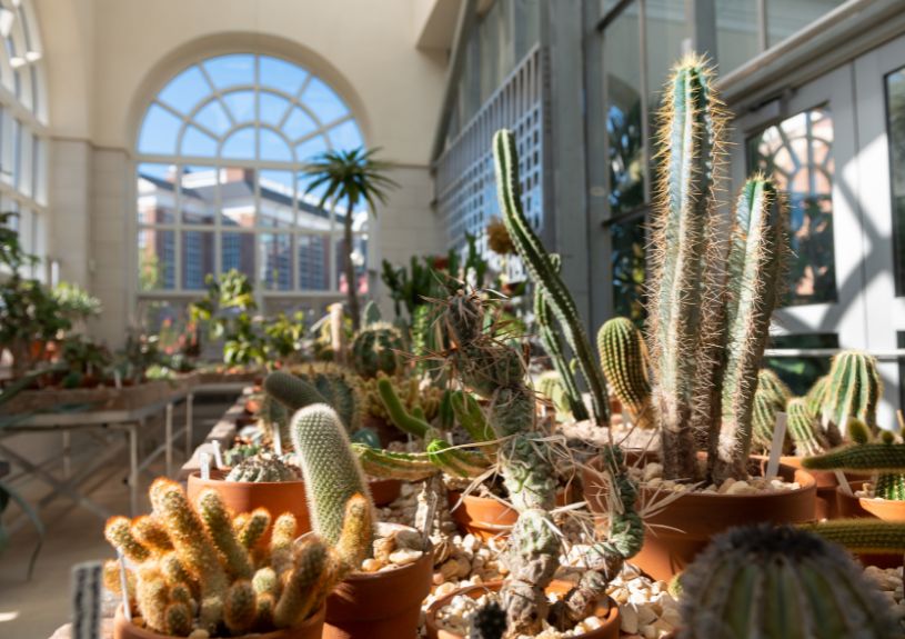 caine conservatory class visits hpu nc