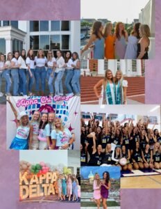 Panhellenic Website Flyer