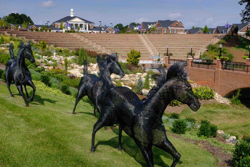 180817 Waterfall 010 copy