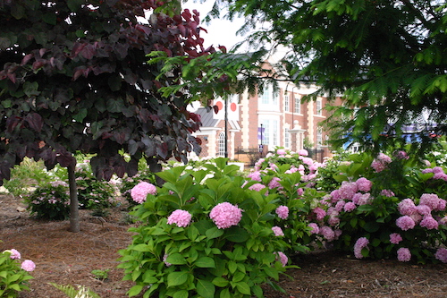 deal shade garden high point university