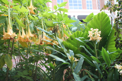 moon garden high point university
