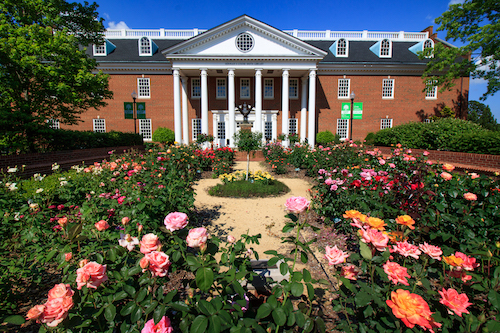 ridley rose garden high point university
