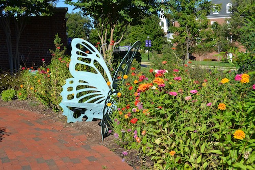 scarborough butterfly garden high point university