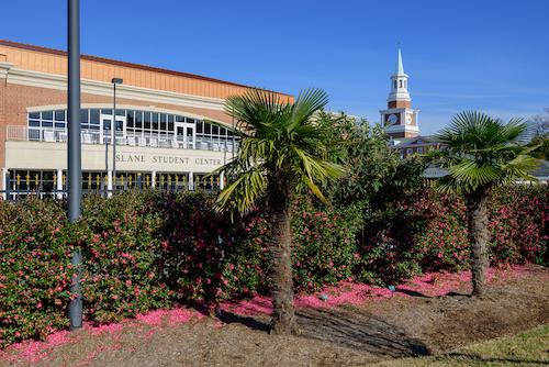 tropical garden high point university