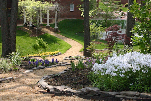 woodland hillside garden high point university