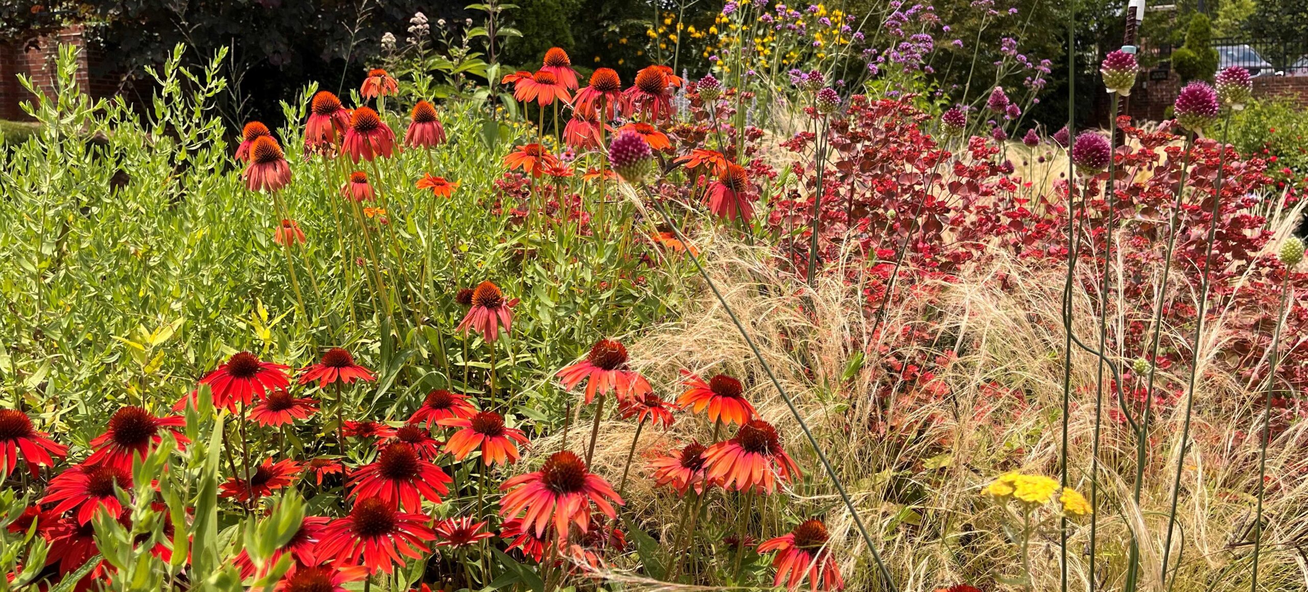 About the Gardens