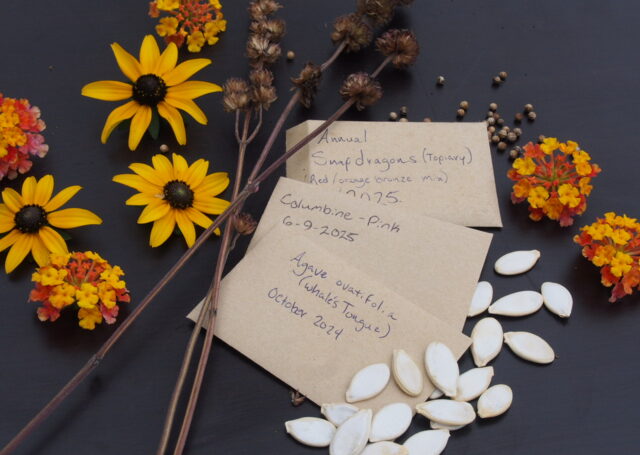 seed library