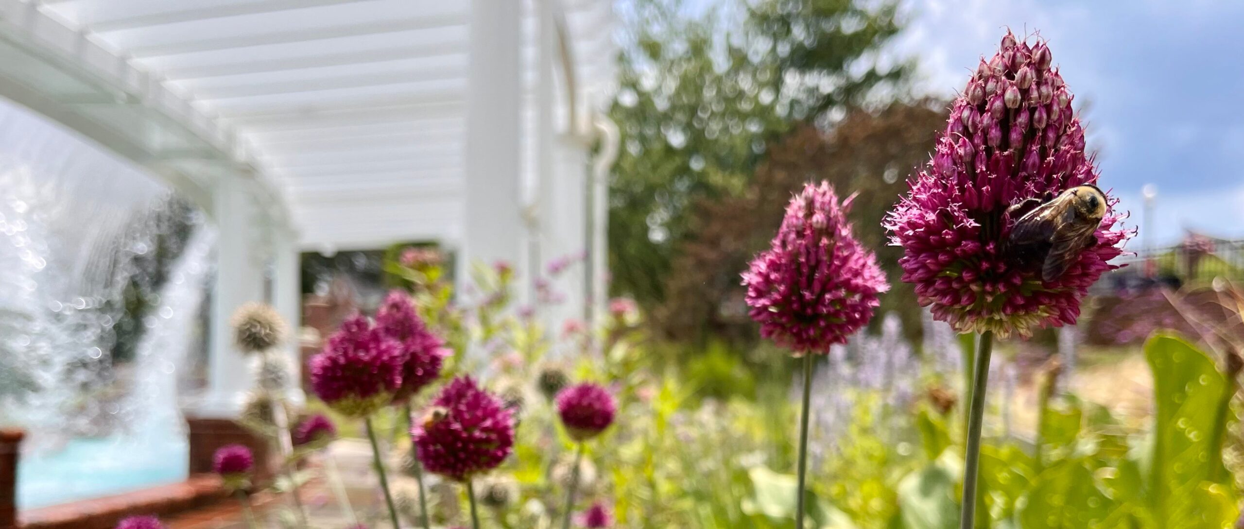 MARIANA H. QUBEIN ARBORETUM & BOTANICAL GARDENS