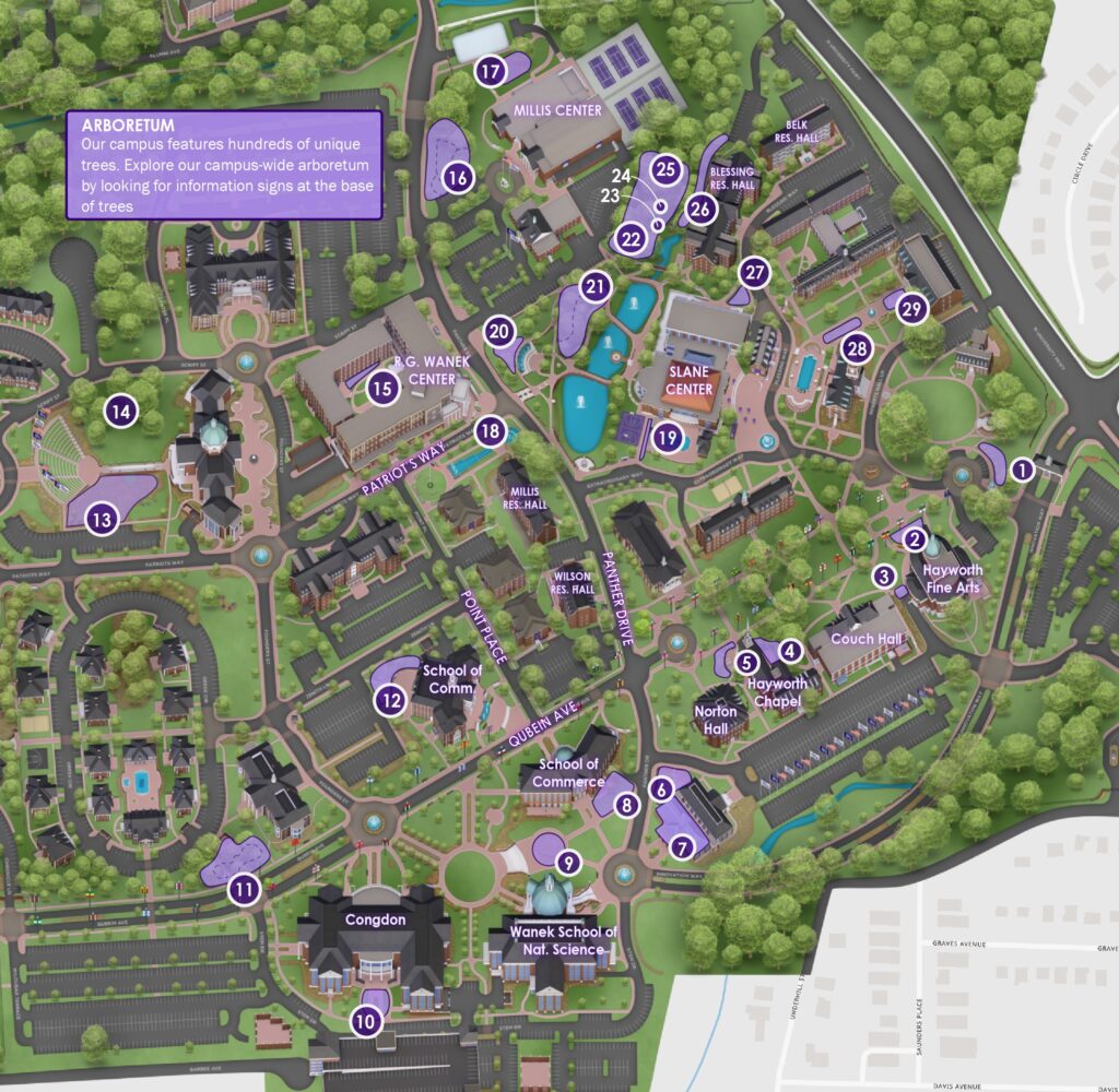 240723 Flyer MapGraphic8x11