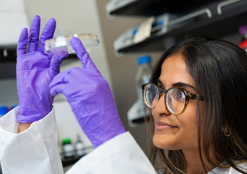 Pharmacy lab student studying