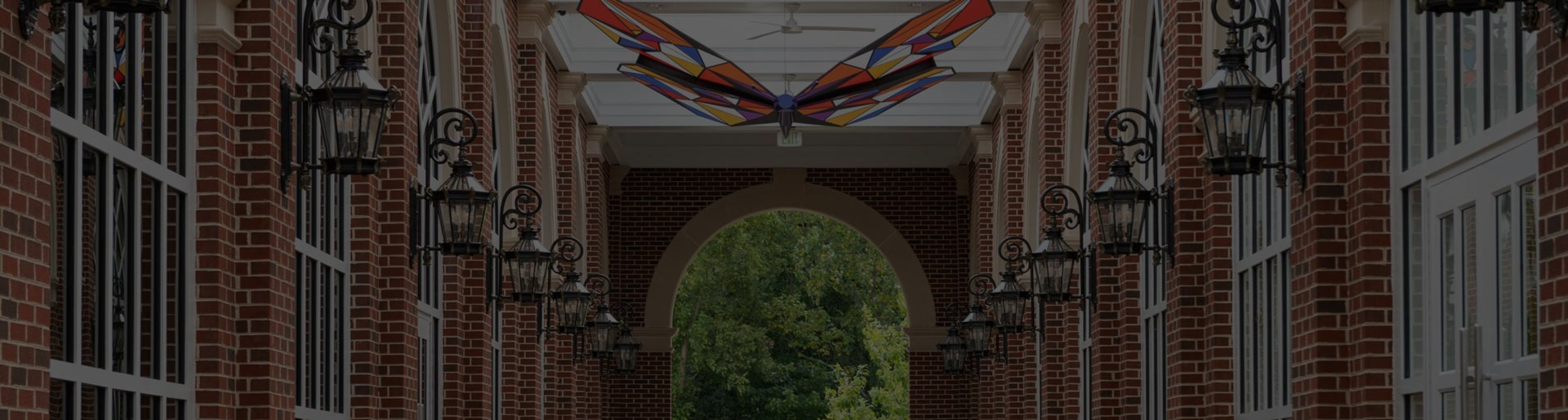 Build Toward Your Master of Healthcare Administration