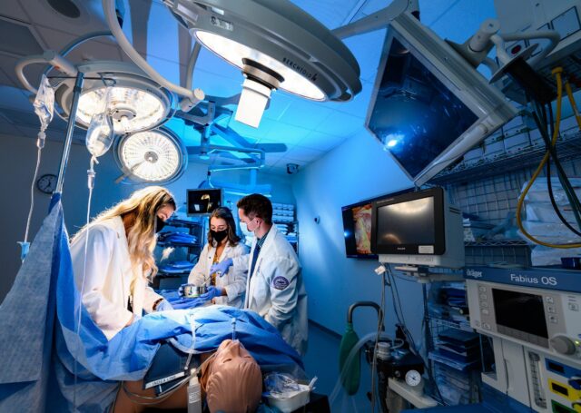 Physician Assistant scaled