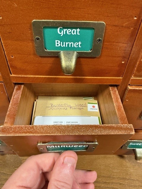 Seed Library Pic 3