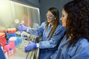 18138772546_c2049380a5_z