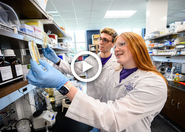 Two High Point University students examine a sample in a science lab.