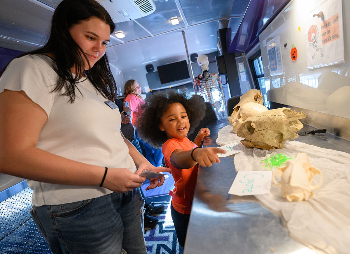 HPU student Macy Schmelzer showed a child a coyote skull in the HPU Mobile Community Lab. 