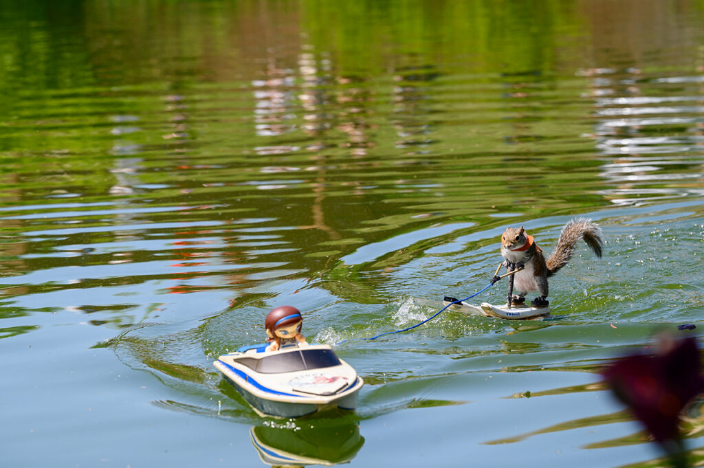 Twiggy the Water-Skiing Squirrel skied behind a remote-controlled boat. 