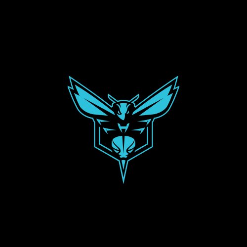 Charlotte Hornets