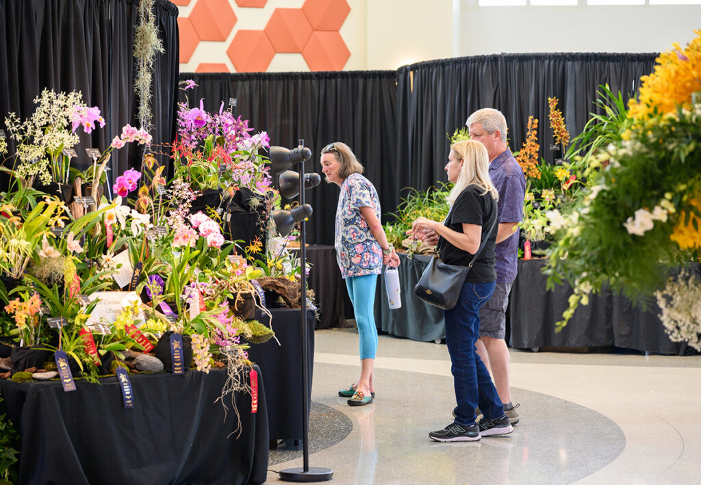 Attendees got a rare opportunity to see award-winning orchids up close during this free event in 2025. 