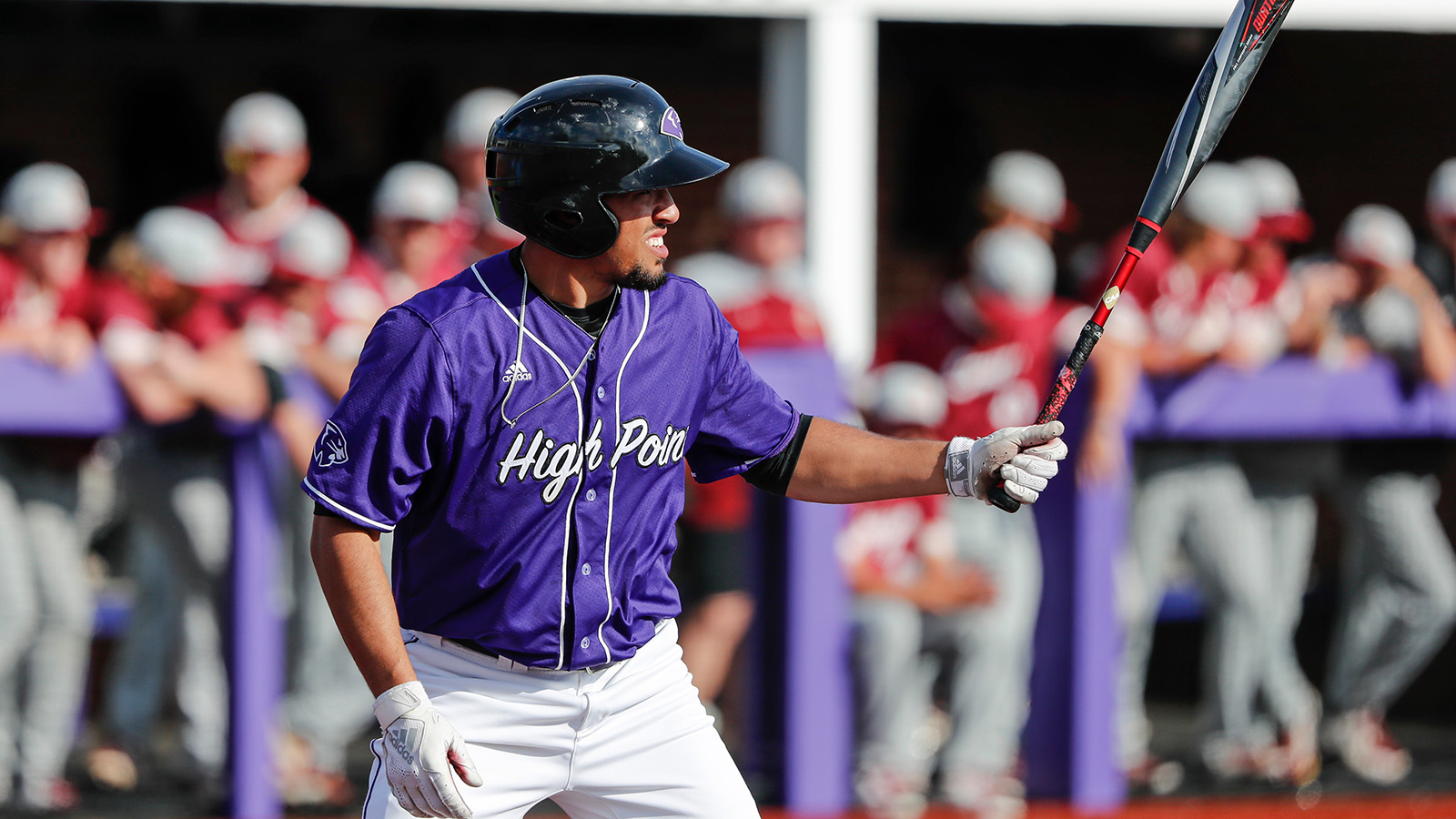 College of Charleston takes on High Point in Big South conference men's baseball at Williard Stadium
