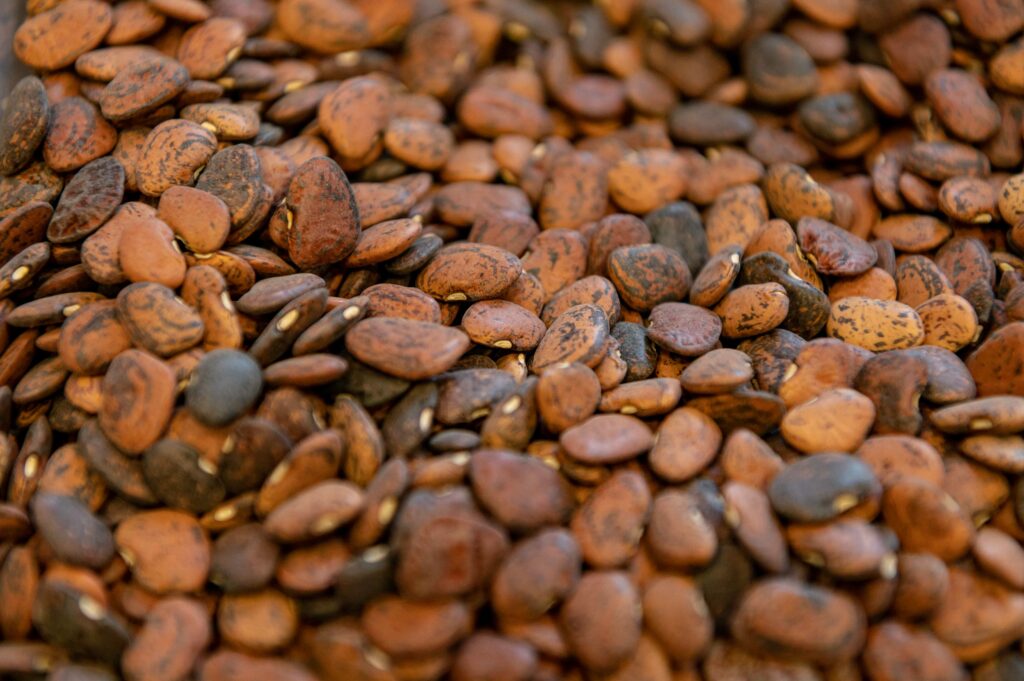210118 Seed Packing 021