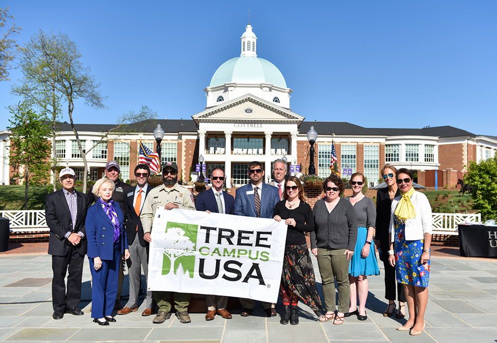 Arbor Day 3