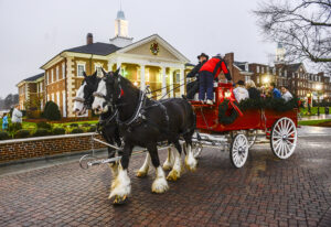 Community Christmas - Clydesdale horses 2