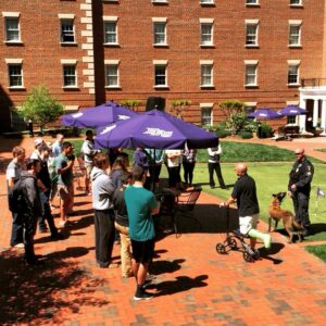 Criminal Justice Demo