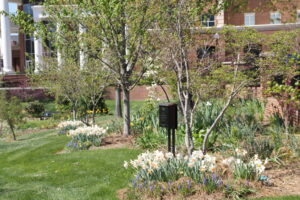 Hayworth park is springing to life
