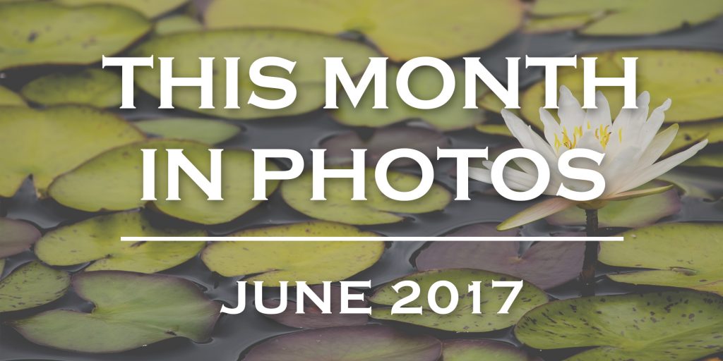 June 1024x512