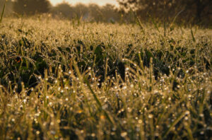 HPU High Point University Photography