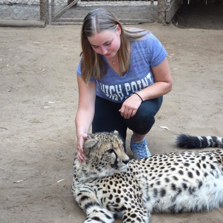 Students Study Animal Behavior in South Africa | High Point University