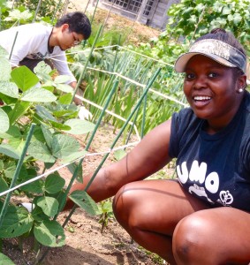 Starneshia Wynn traveled to the Tohoku region of Japan through the HPU Washington Program to present civic engagement initiatives aimed at solving social problems created by several natural disasters.